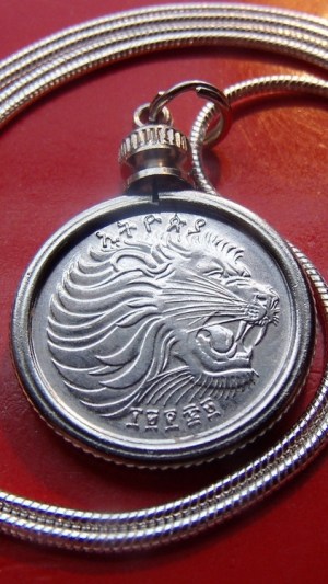 Silver cat jewelry, a lion necklace.