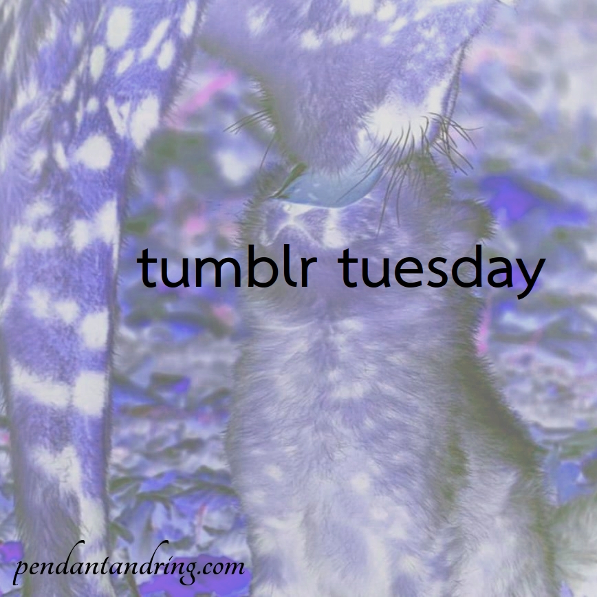 Tumblr Tuesday, Take&nbsp;2!