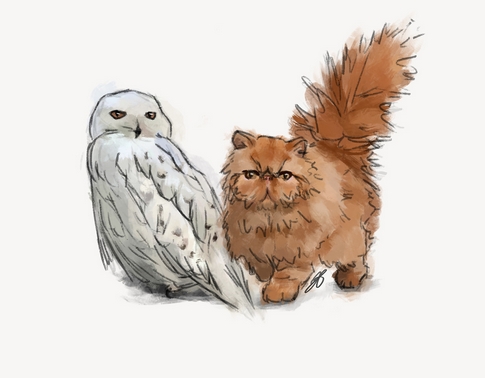 Colored drawing of Harry Potter characters Hedwig and Crookshanks.