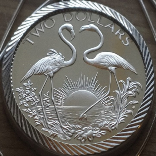 1975 Bahamas Twin Flamingo Coin Pendant https://www.etsy.com/listing/860113953/