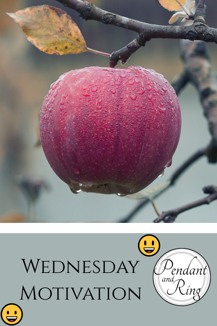 Don’t Give Up! #wednesdaymotivation