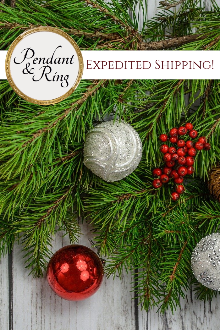 🎄 It’s Expedited Shipping Time&nbsp;🎄