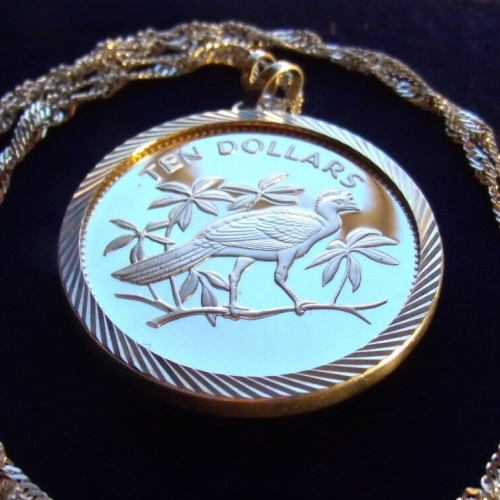 Silver Great Curassow Belize Bird Coin Pendant Necklace