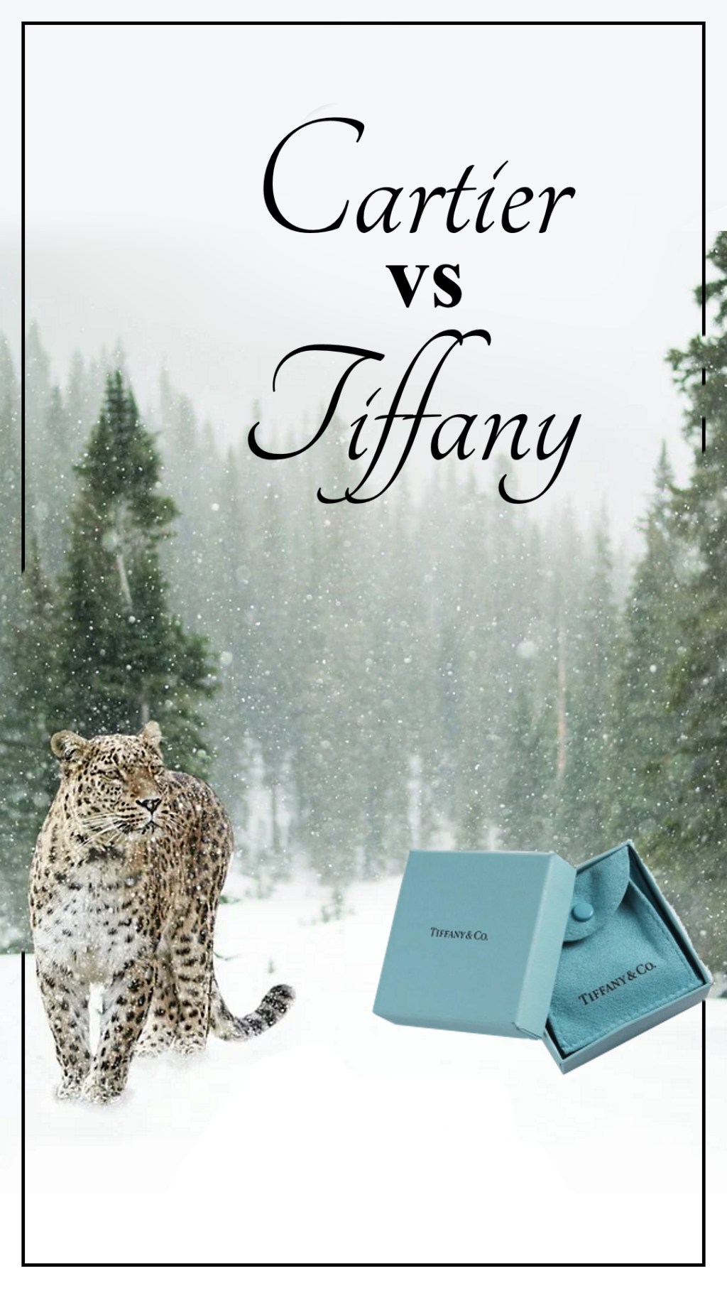 Cartier Takes Tiffany and Co. to&nbsp;Court