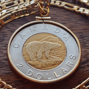 Jewelry birthday present from 1996, Canada polar bear coin, Birthday coin pendant necklace.